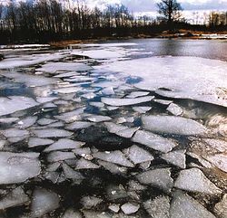 Файл:39164.p.jpg